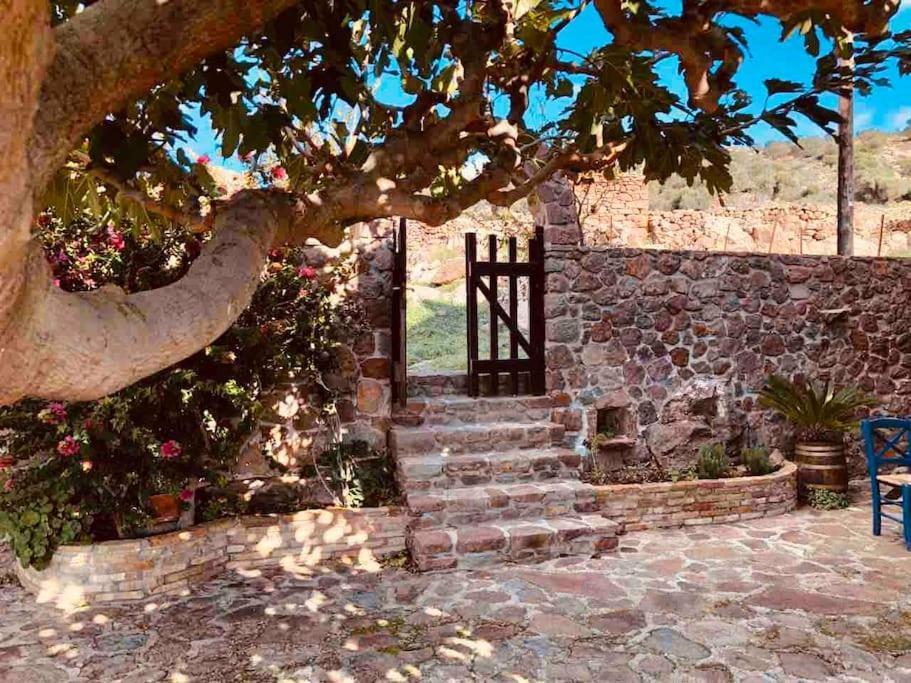 Stone Sunset Villa Sfentouri Εξωτερικό φωτογραφία